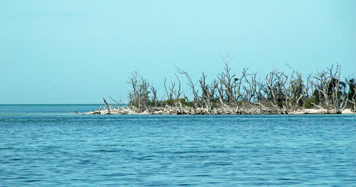 Costas de Florida (imagen de referencia) © Flickr / James St. John