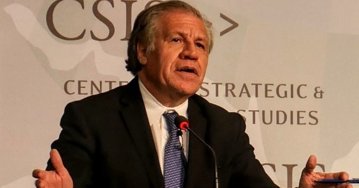 Luis Almagro, secretario general de la Organización de Estados Americanos (OEA) © Luis Almagro/ Twitter