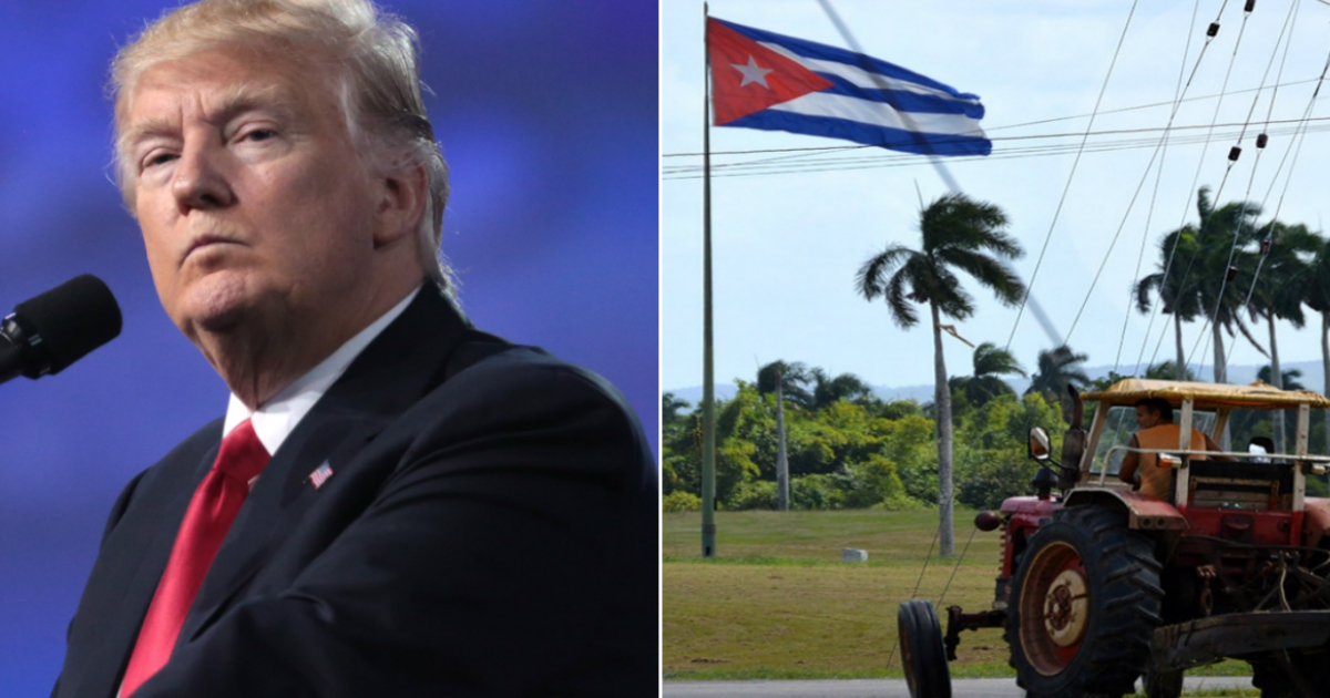 Donald Trump y producción de alimentos en Cuba © Flickr Gage Skidmore / CiberCuba