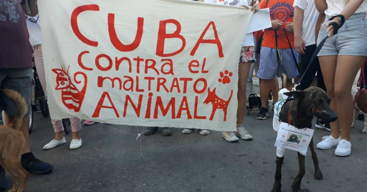 CEDA - Cubanos en Defensa de los Animales