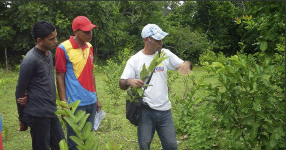 Integrantes de uno de los proyectos de cooperación agrícola entre Cuba y Venezuela © Embajada de Cuba en Venezuela