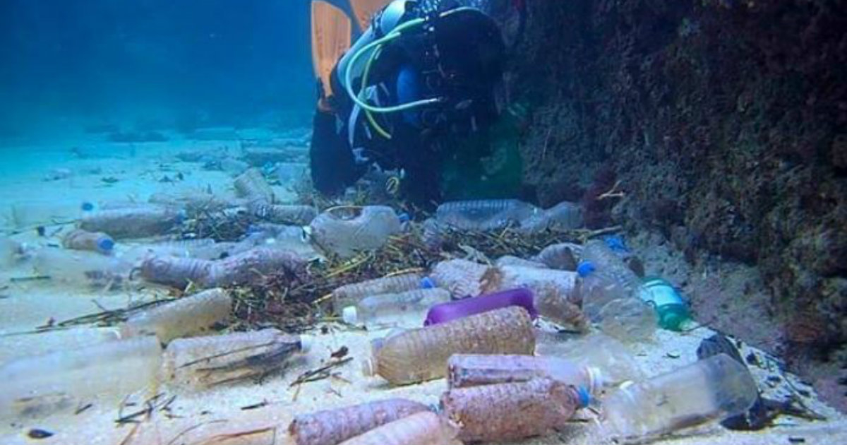 Botellas de plástico en el mar © Sosapach / Twitter