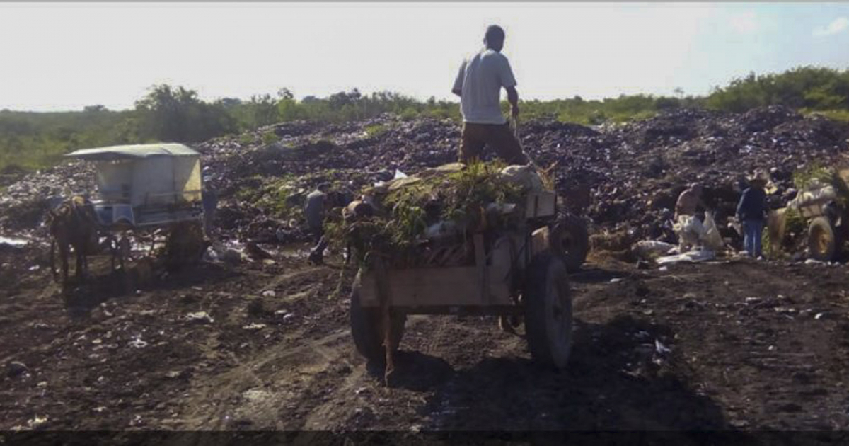 Carretonero recoge basura en Las Tunas © Tiempo 21