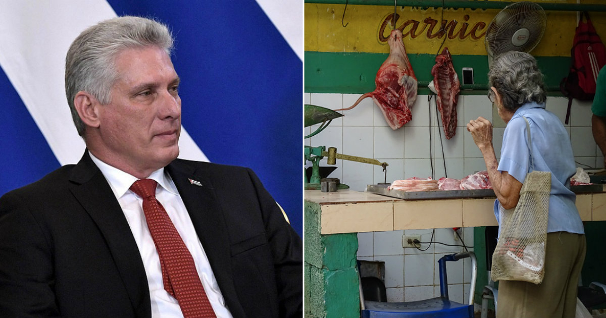 Miguel Díaz-Canel y carnicería cubana © kremlin.ru y CiberCuba