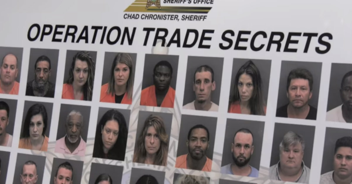 Foto de algunos de los arrestados durante la operación © Oficina del Sheriff del Condado de Hillsborough