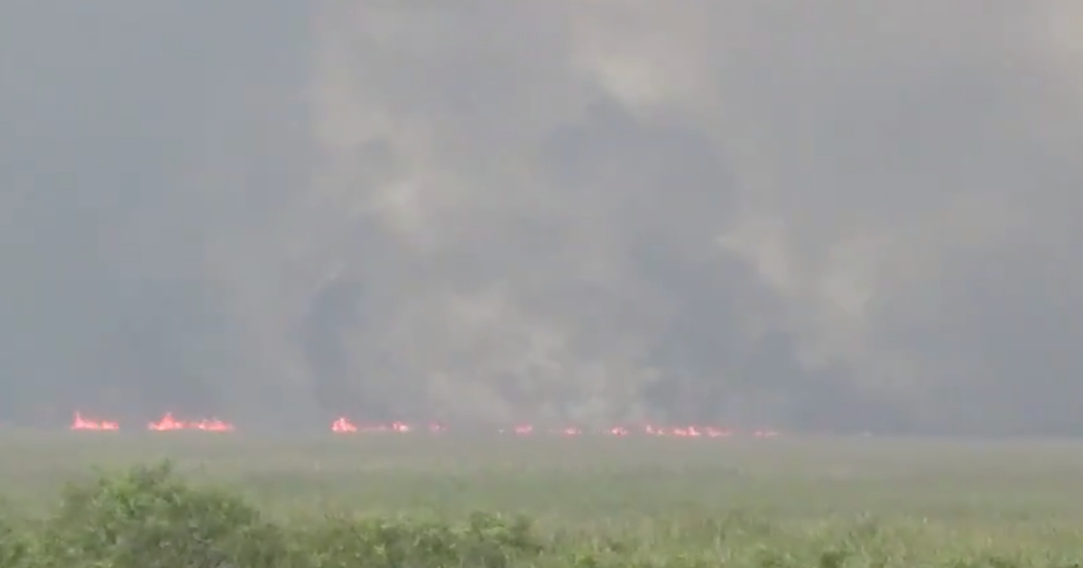 Incendio en los Everglades © Captura de pantalla de Twitter / FLWx2018
