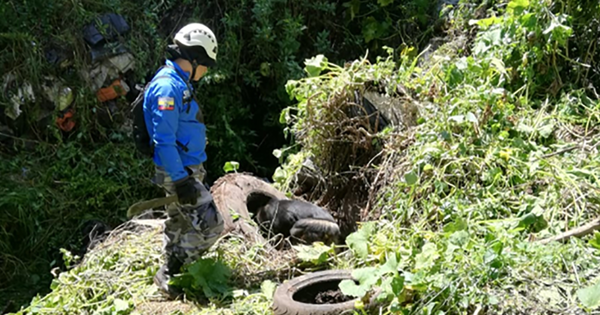 Imagen del lugar en el que encontraron los restos de la cubana © Twitter / @PoliciaEcuador