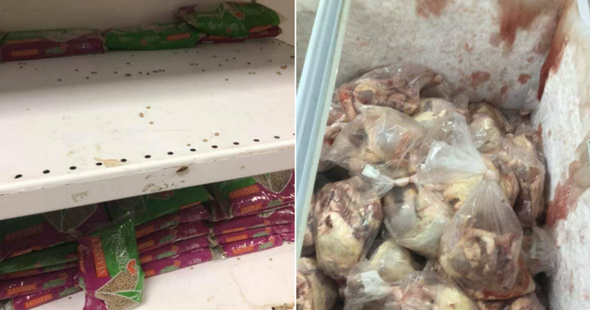 Una cucaracha en un estante (i) y pollos en mal estado (d) en el mercado de la capital de Cuba © Facebook / Alfredo Zayas