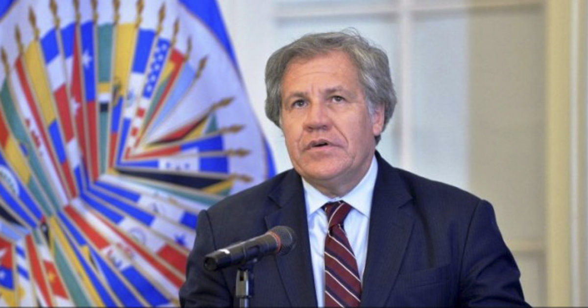 Luis Almagro, Secretario General de la OEA © OEA