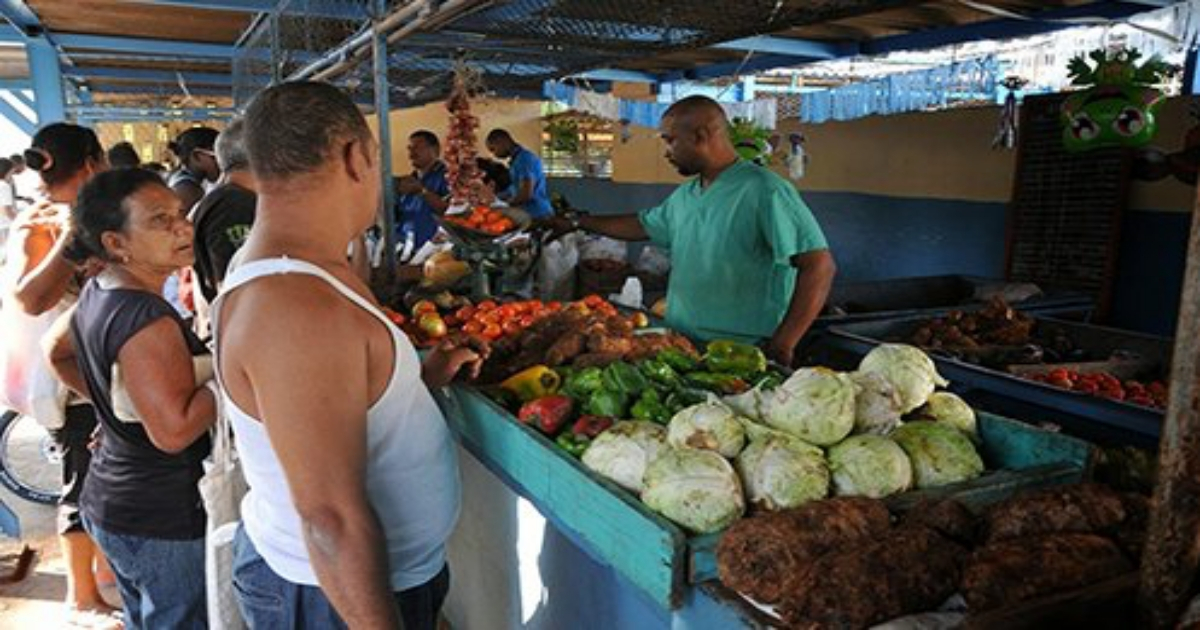 Mercado agropecuario, imagen de referencia © ACN