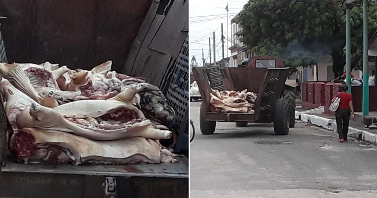 Carne de cerdo transportada en una carreta en Cuba © Facebook / Jany Si Se Puede