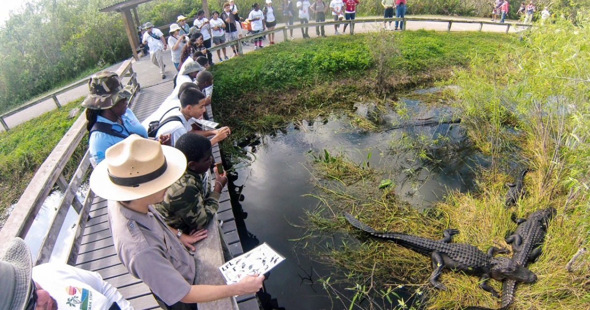 Turistas en el Parque nacional de los Everglades © nps.gov