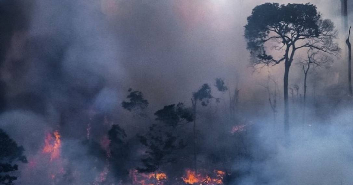 Imagen del incendio en el Amazonas © Twitter / WWF-Brasil
