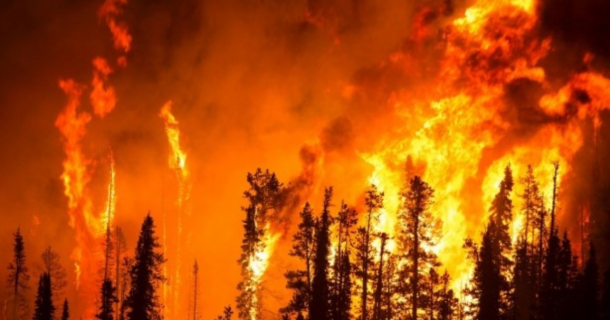 Incendio forestal (imagen referencial) © Public Domain Pictures