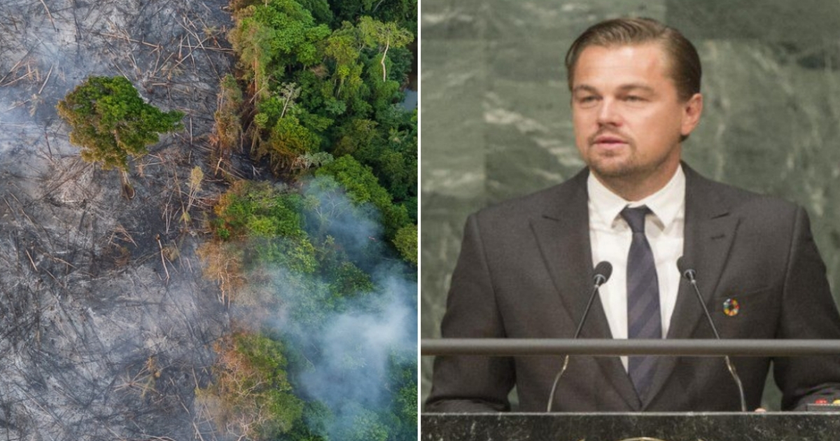 Incendio en el Amazonas (i) y Leonardo DiCaprio (d) © Collage con Twitter / Earth Alliance y Onu Noticias