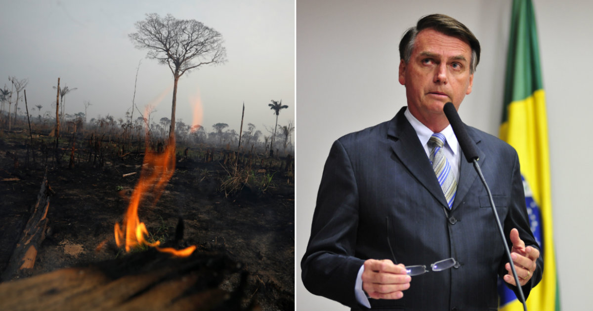 Jair Bolsonaro y una parte del Amazonas devorada por el fuego © Reuters / Bruno Kelly / Wikimedia Commons