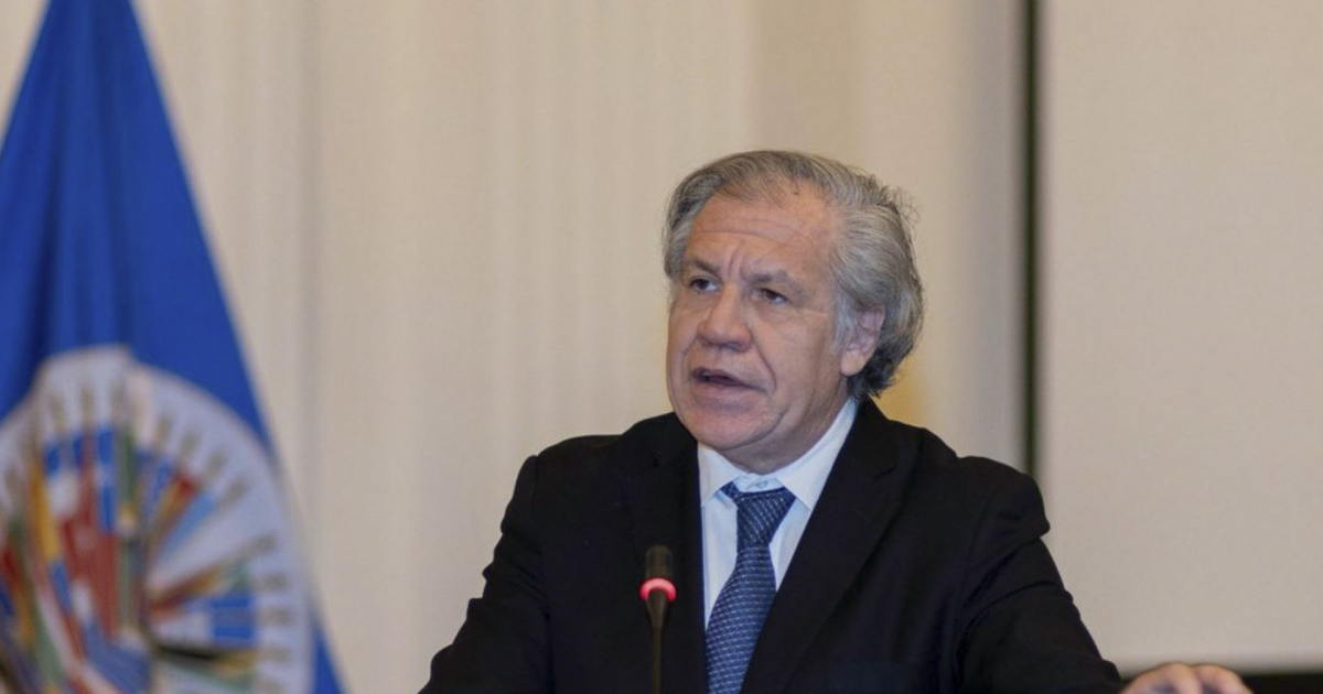 Luis Almagro, Secretario General de la OEA © Twitter/Luis Almagro