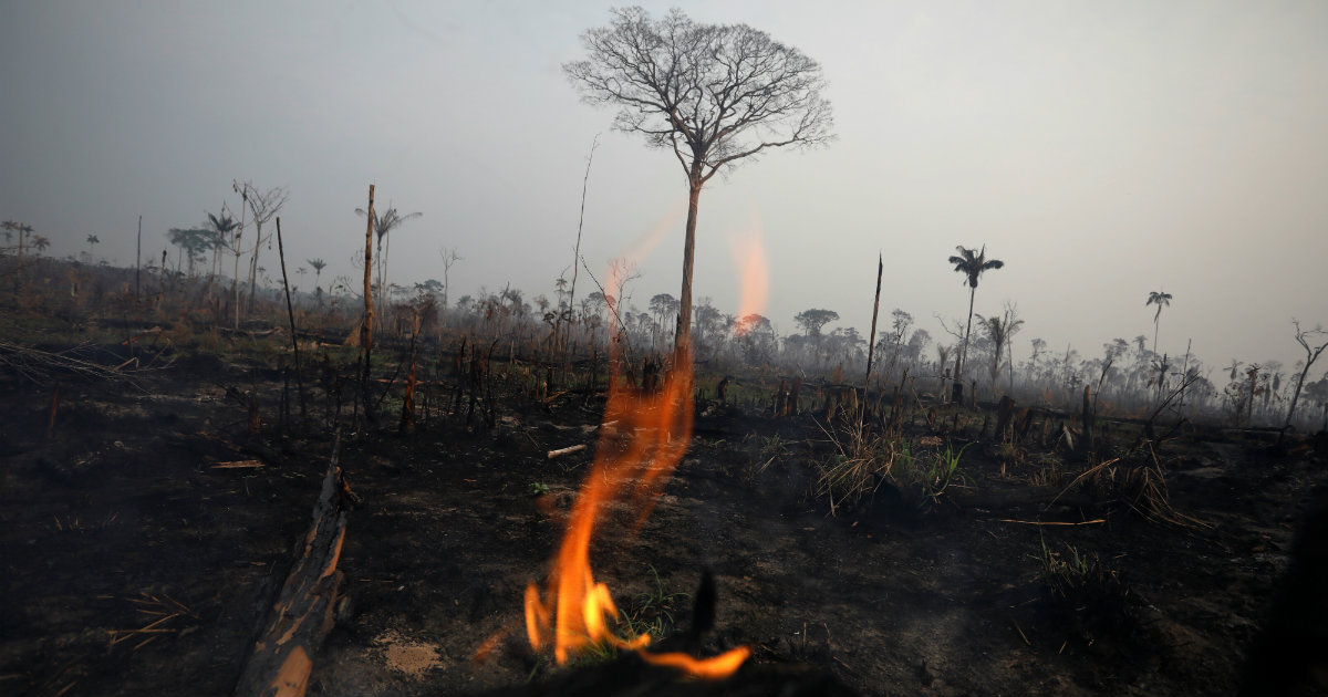 Fuego en el Amazonas © Reuters / Bruno Kelly