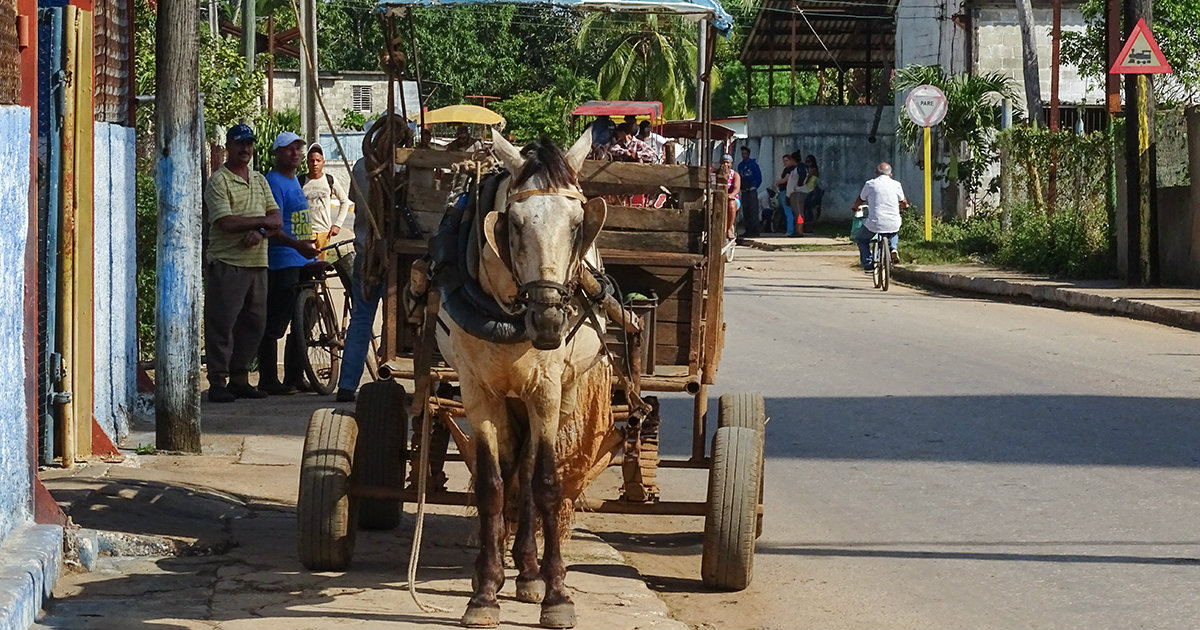 Vehículo de tracción animal en Cuba © CiberCuba