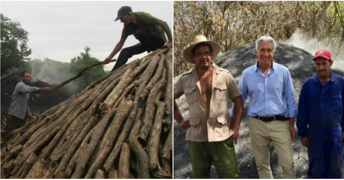 Obtención de carbón de marabú a través de método artesanal (i) y Philippe Maus y trabajadores cubanos (d) © Collage Granma/Ortelio Martínez - twitter/LaMontagne