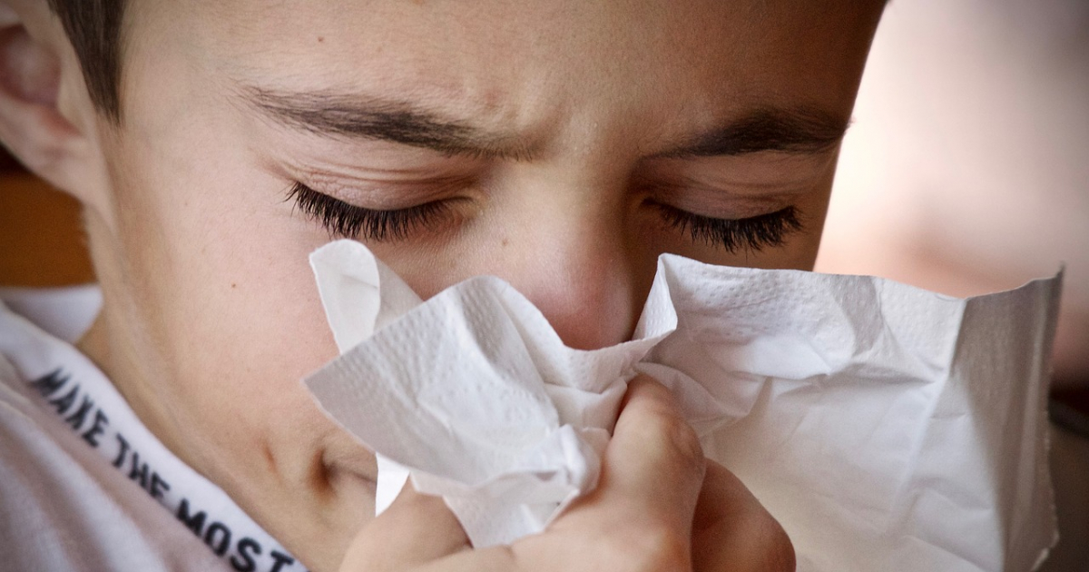 ¿Catarro, resfriado o gripe? © Imagen de Luisella Planeta Leoni en Pixabay 