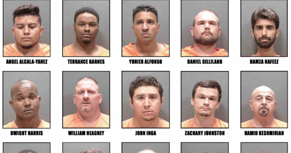 Algunos de los depredadores sexuales que fueron arrestados en Sarasota © Oficina del Sherif de Sarasota