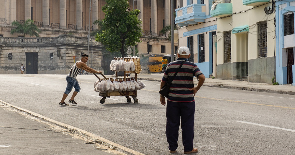 Las afectaciones en el transporte son principalmente en calles cercanas a la escalinata de la Universidad de La Habana. © Cibercuba