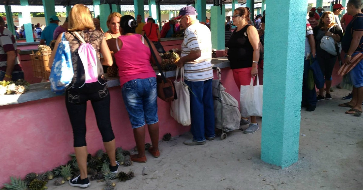 Mercado agropecuario cubano (Imagen referencial) © CiberCuba