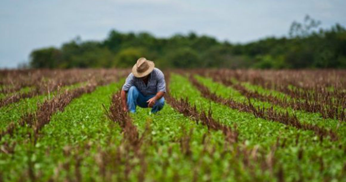 Campesino en Cuba en una imagen de archivo © ACN