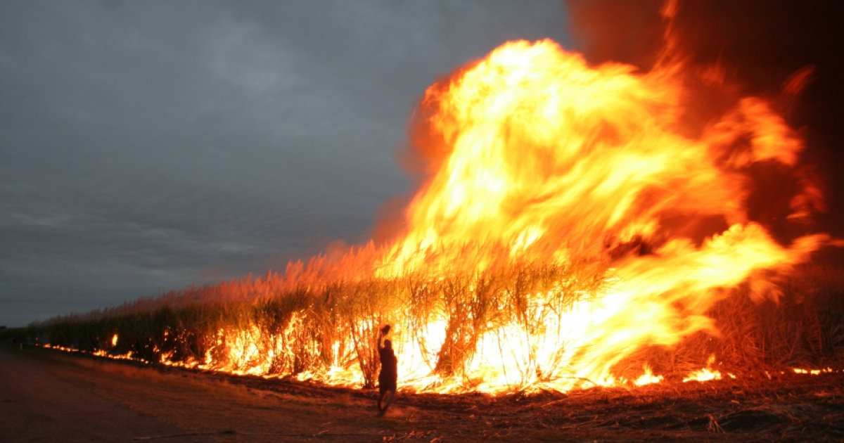 Incendio en Australia © Wikimedia Commons