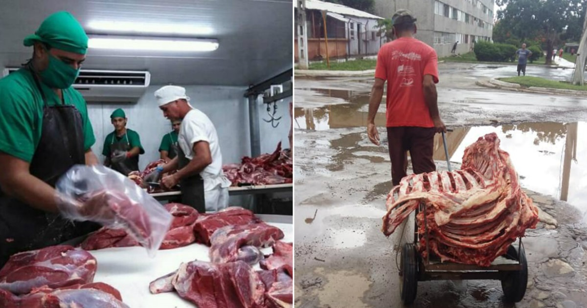 Producción de carne de res © Trabajadores.cu y Facebook / Lester Cobas
