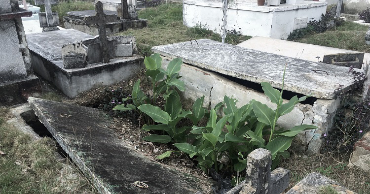 Imagen del cementerio de Santa Clara © Vanguardia