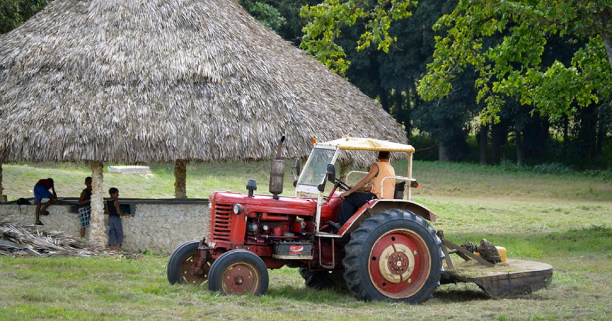 Cubano en un tractor © CiberCuba