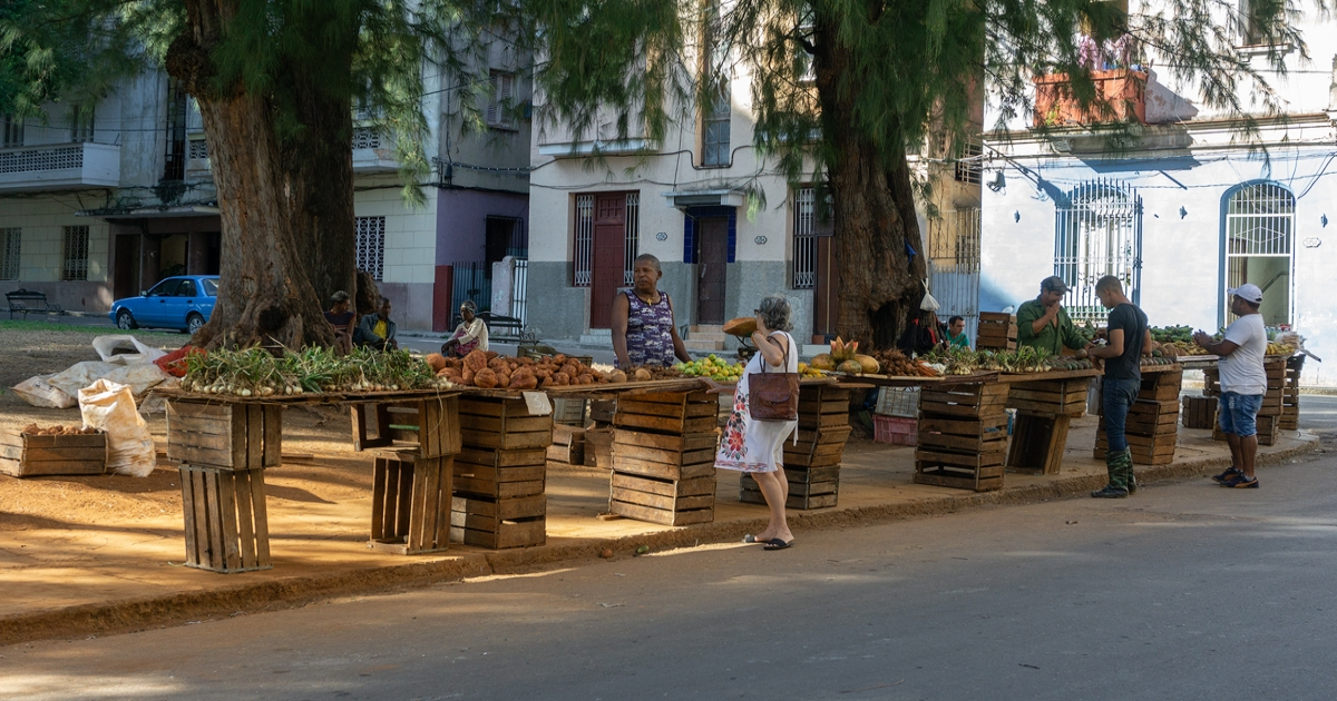 Venta agropecuaria en Cuba. (imagen de referencia) © CiberCuba