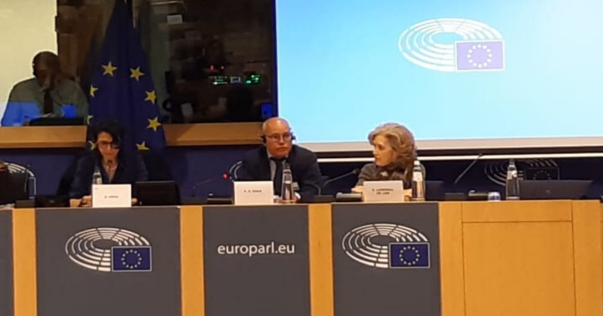 Elena Larrinaga y Alejandro González en el Parlamento Europeo. © Twitter / @observacuba