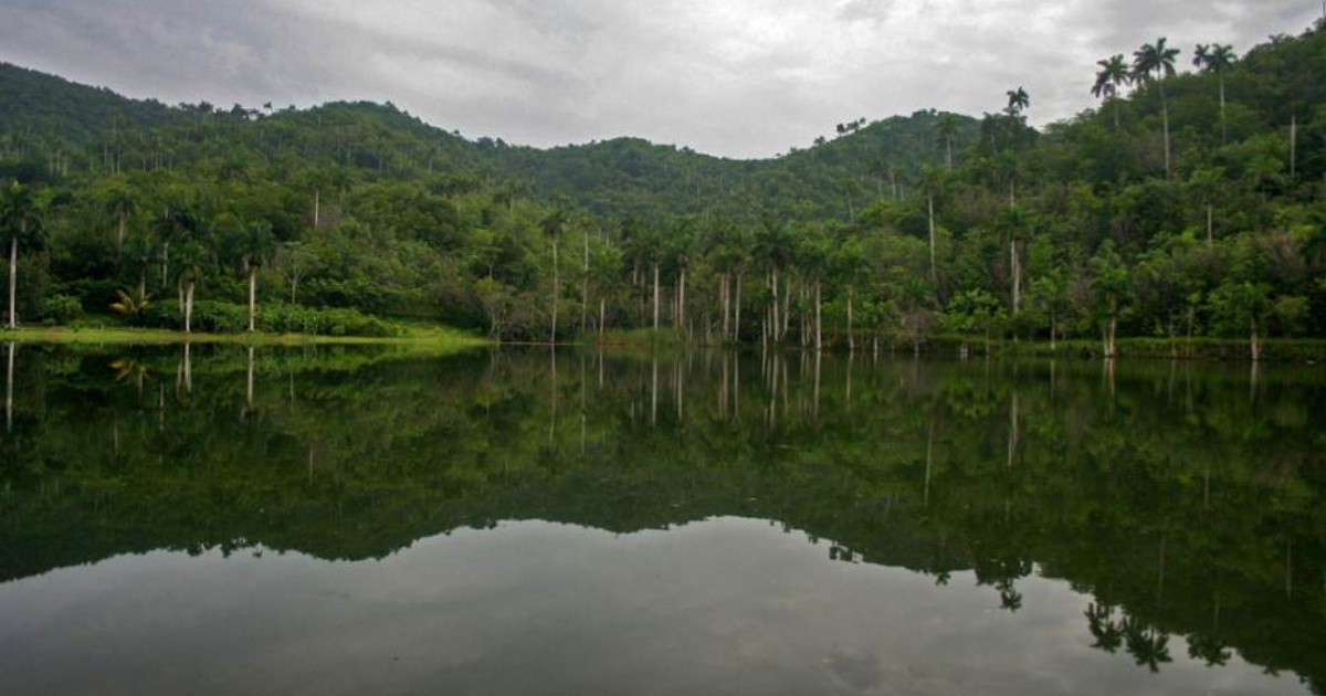 Las Terrazas © CiberCuba