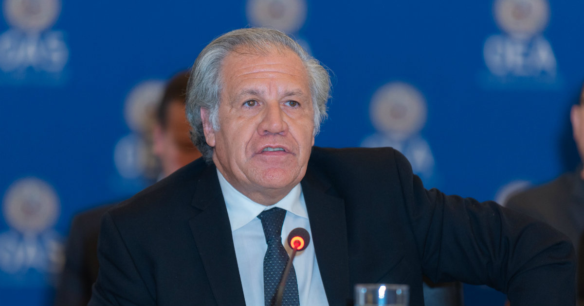 El secretario general de la OEA, Luis Almagro, en una imagen de archivo © Flickr / OEa