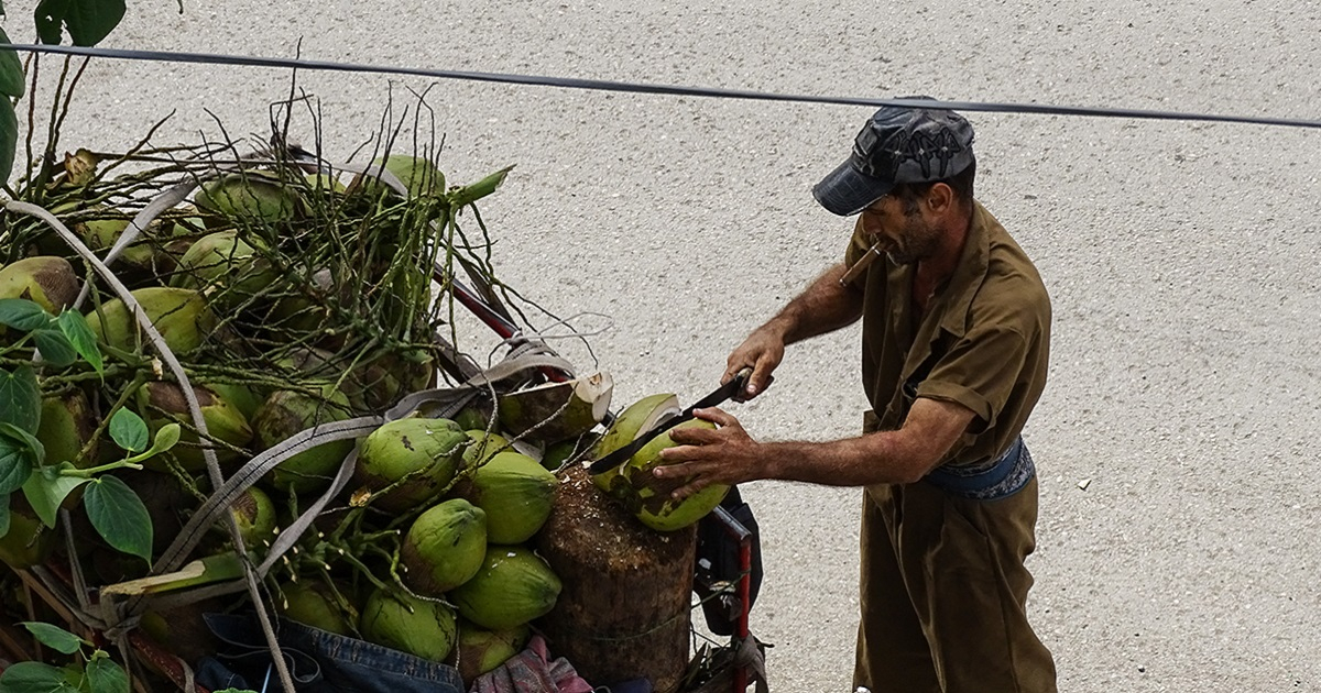 Vendedor de cocos en Cuba (imagen referencial) © Cibercuba