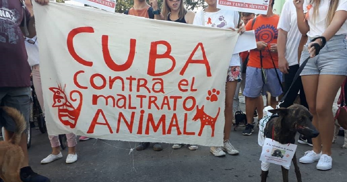 Marcha de animalistas en La Habana en 2019 © Facebook/CEDA