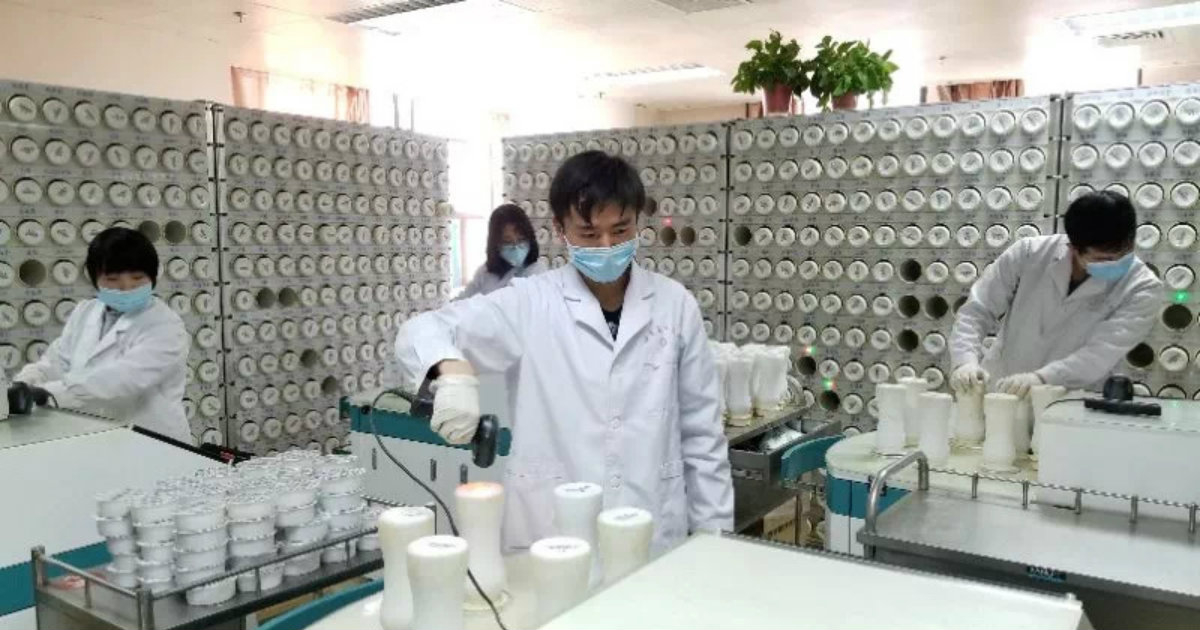 Científicos chinos trabajando en un laboratorio del país © en.nhc.gov.cn