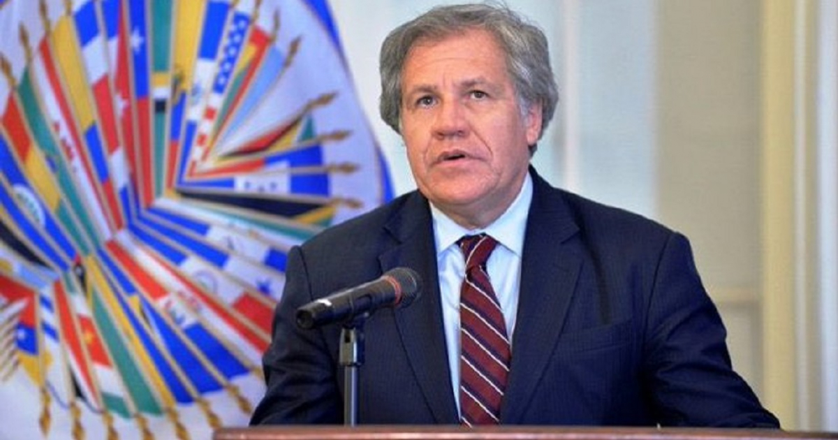 Luis Almagro, secretario general de la OEA © Twitter