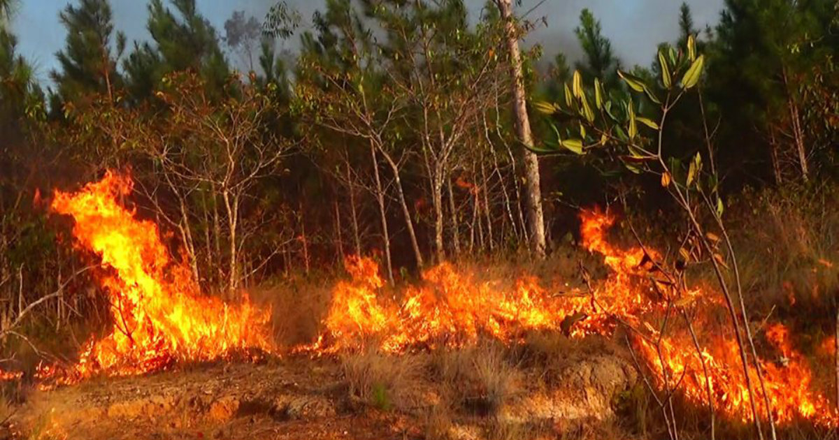 Incendio en el municipio de Mantua, en la provincia de Pinar del Río. © Lázaro Boza / Telepinar