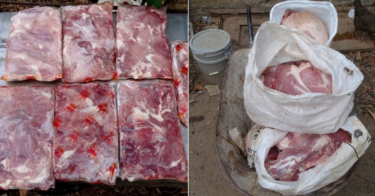 Carne de cerdo decomisada en Isla de la Juventud © ACN