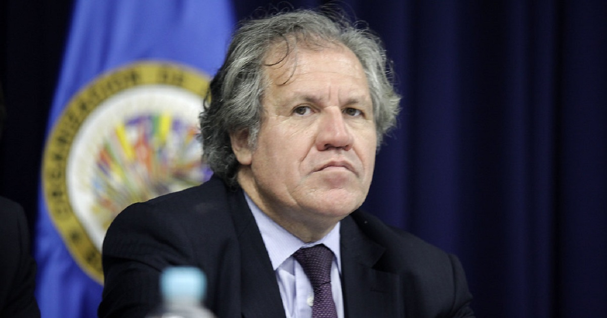Secretario de la OEA, Luis Almagro © Flickr