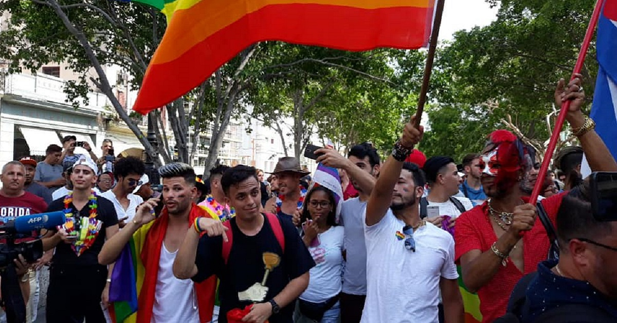 Marcha LGBTI+ del 11 de mayo de 2019 © Facebook / Luz Escobar