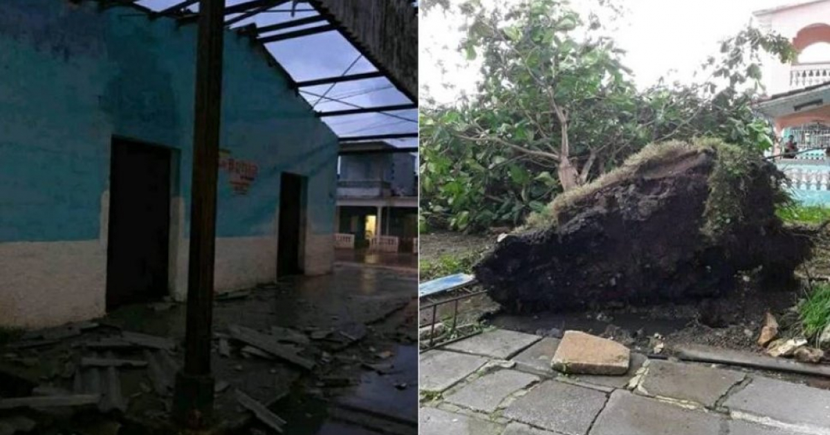 Vivienda sin techo y árbol arrancado de raíz © Dayron Pérez Urbano/ Facebook