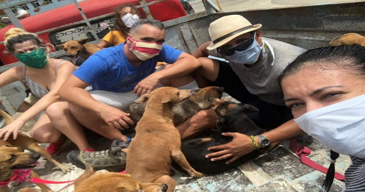 Rescatan a perros en Matanzas © Larrea Formoso Javier/Facebook