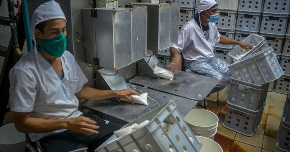 Trabajadores de la Empresa Láctea de Las Tunas © ACN/ Yaciel Peña de la Peña