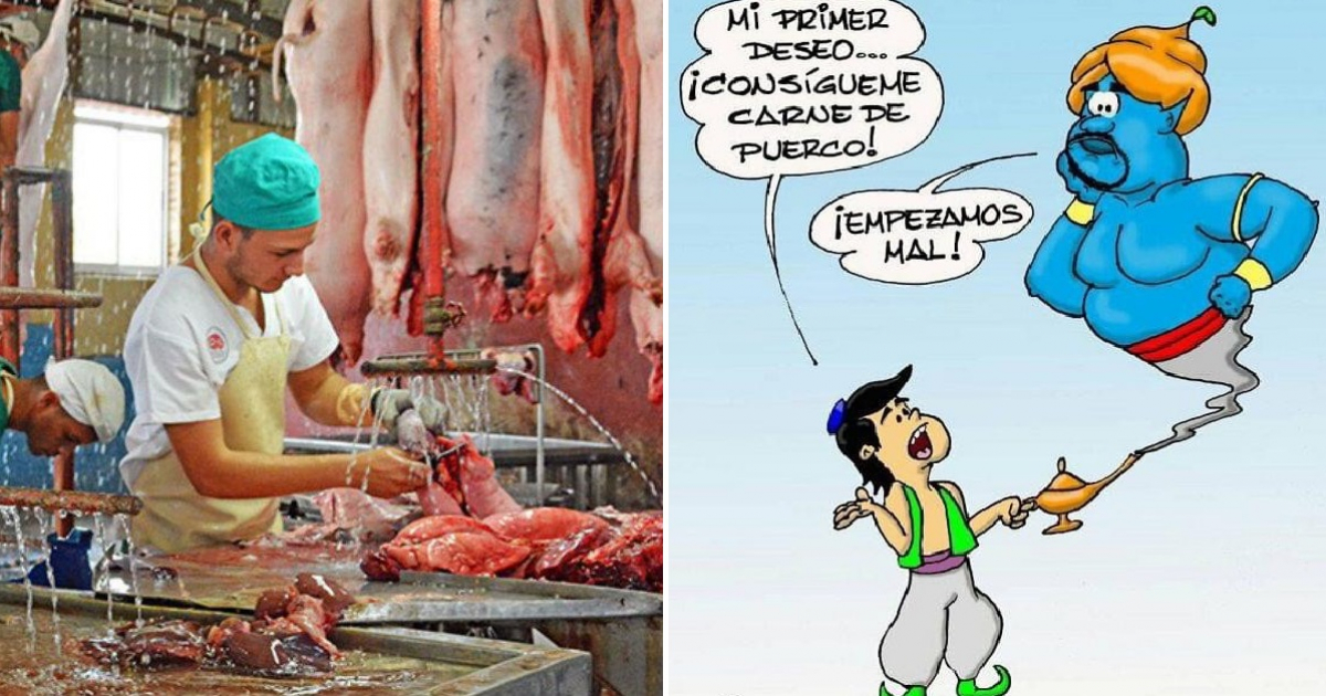 Industria porcina de Cuba / Caricatura de Cubadebate © Invasor / Facebook Cubadebate 
