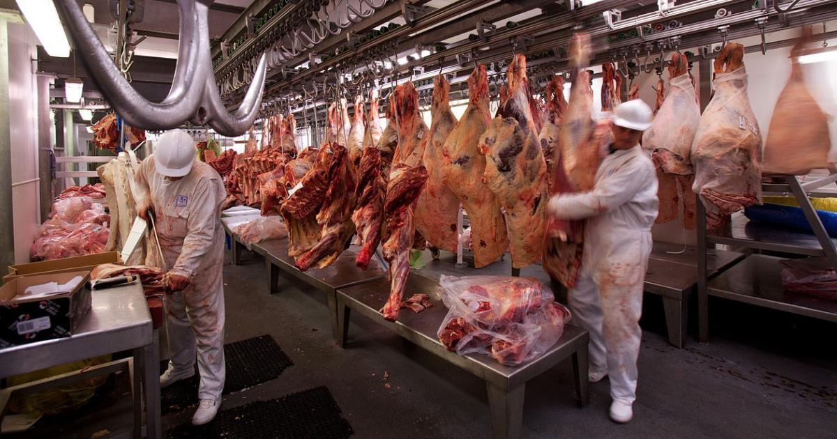 Producción de carne de res (Imagen referencial) © Jorge Royan vía Wikipedia
